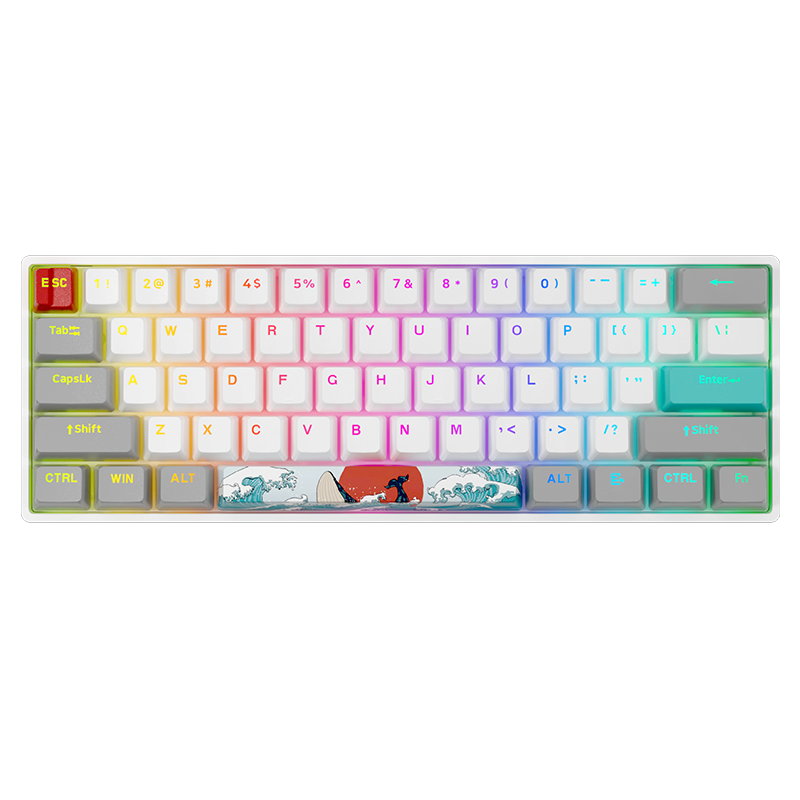 Custom Hot Swap Mechanical Keyboard