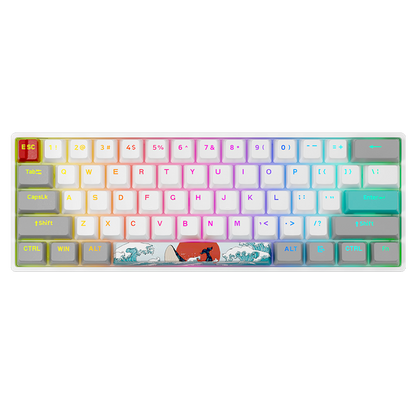 Custom Hot Swap Mechanical Keyboard